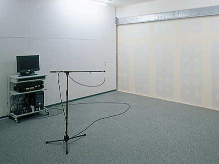 Acoustic experience room