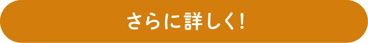 さらに詳しく！