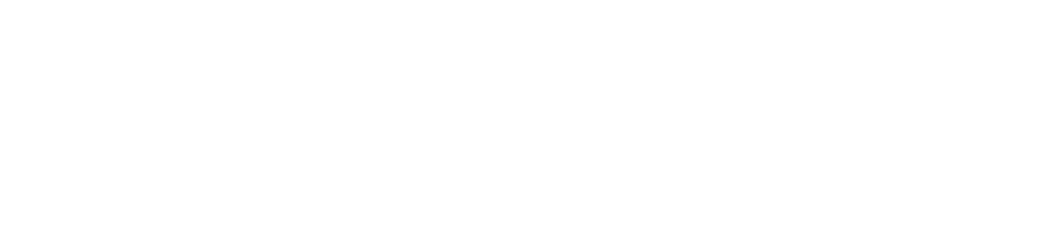 タイガーFEボード