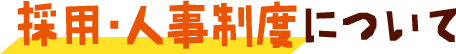 採用・人事制度について